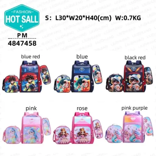 3 in 1 Quality School Bags